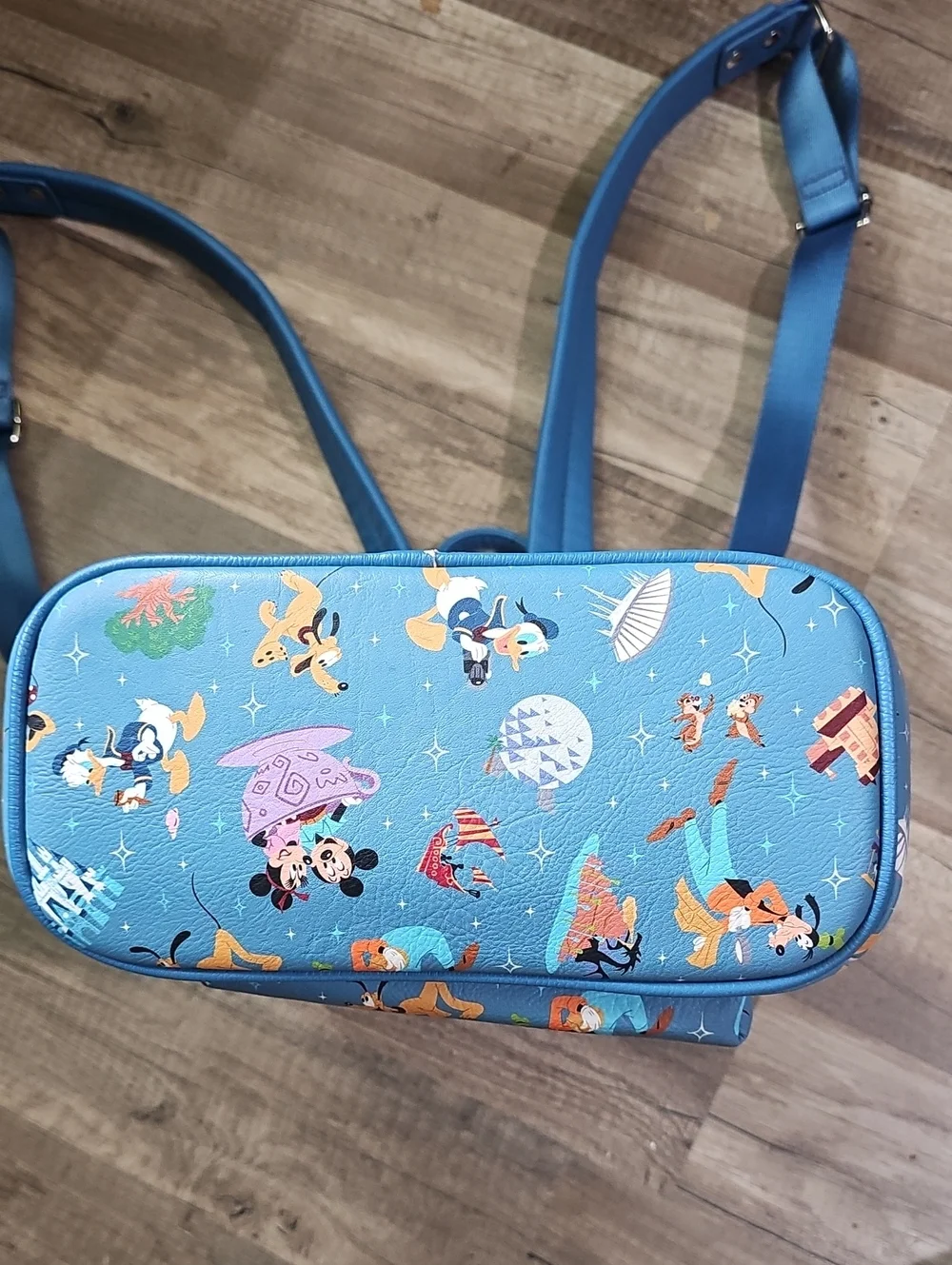 Disney parks life
